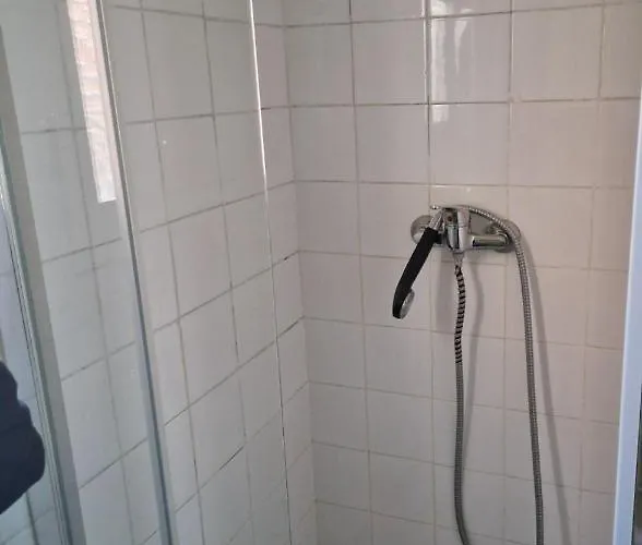 Zeus 바야돌리드