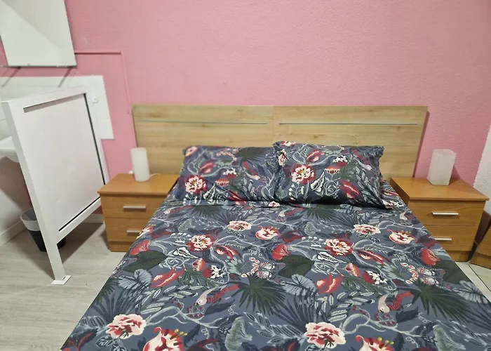 Zeus * 바야돌리드